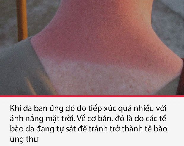 su that thu vi nhung am anh 2