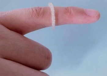 successful experimental step in 3d printing insect repellent 123624