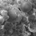 successful extraction of rare earth elements from waste 118821