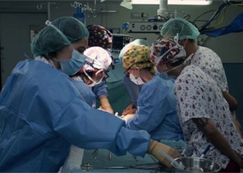 successful organ transplant from first heart dead person in the world 123557