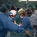 successful organ transplant from first heart dead person in the world 123557