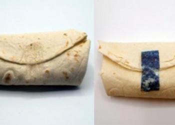 successful student group creates edible 3d printed spring rolls 120614