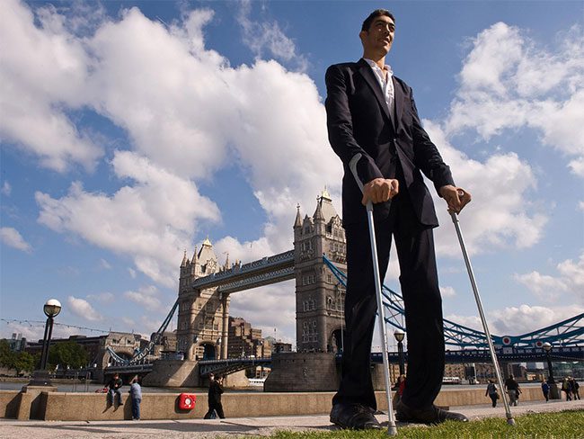 Sultan Kosen - the tallest man in the world