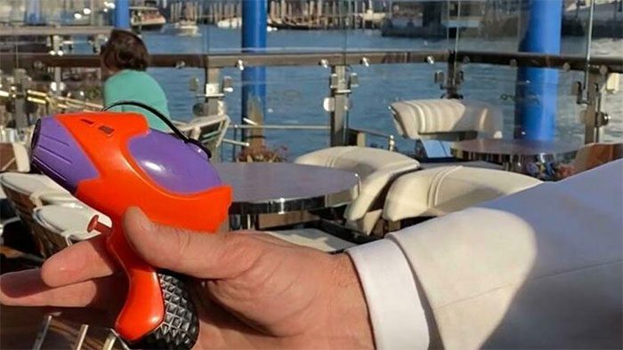 Bright orange water guns are considered a temporary 'deterrent' solution for these birds