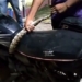 sunset video witnesses snake catching around motorcycle 123160