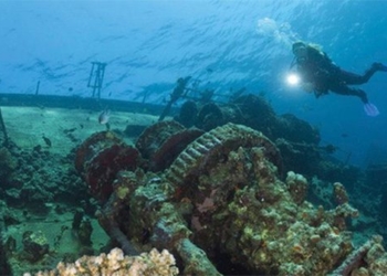 super bacteria increase scientific research on new drug for marine pharmacy 122253