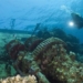 super bacteria increase scientific research on new drug for marine pharmacy 122253