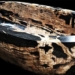 surprised with extremely precious materials making a 2 million dollar bathtub 119102