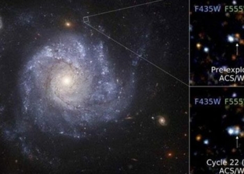 survived after the supernova explosion sky brighter than before 121479