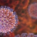 symptoms and prevention of rotavirus the virus attacking children worldwide 120371