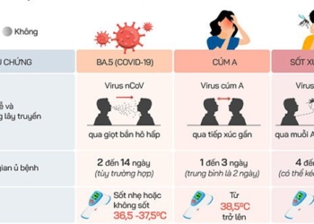symptoms of influenza 5 different types of hemorrhagic fever what 121814