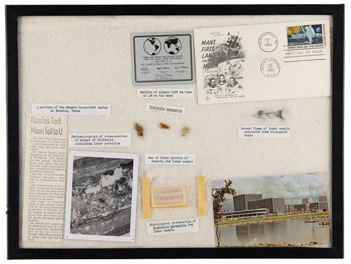 Ms. Brooks hung all these memorabilia on her wall and left them there for many years.