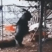 take the kid to 2 legs to get the phone to record what happens next shocking 120372