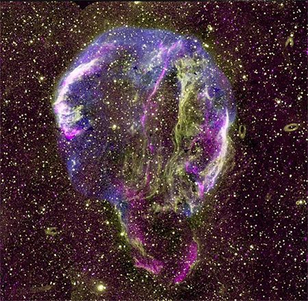 The remnants of the Cygnus supernova