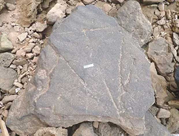 A large gray rock surrounded by smaller stones and coarse sand.