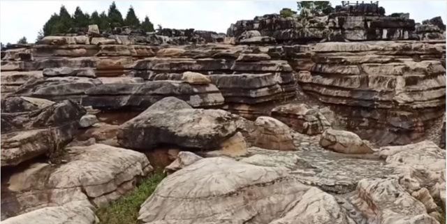 The rocks here exhibit typical karst topography.