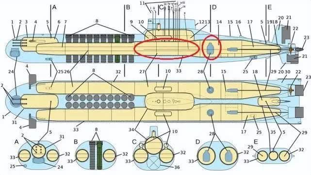 The circled area is the crew compartment and nuclear reactor area.