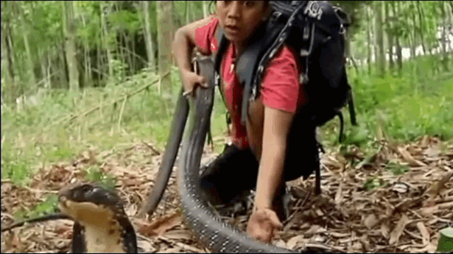 This young man dodged the deadly bites of the venomous snake.