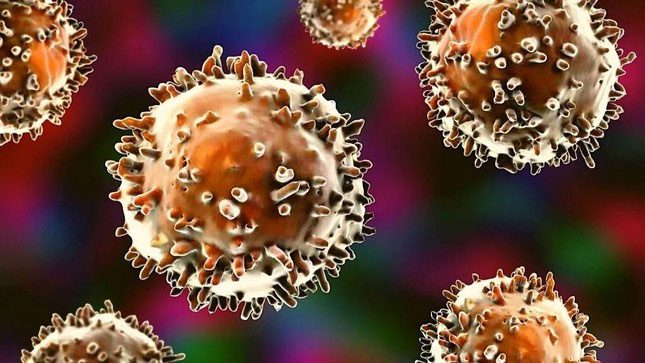 Researchers have published evidence of B-1 cells in humans.