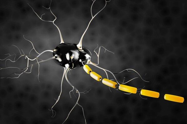 Certain proteins can affect neurons in the brain and block pain sensation.