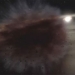 ten million year old space ball the beginning of another earth 119543