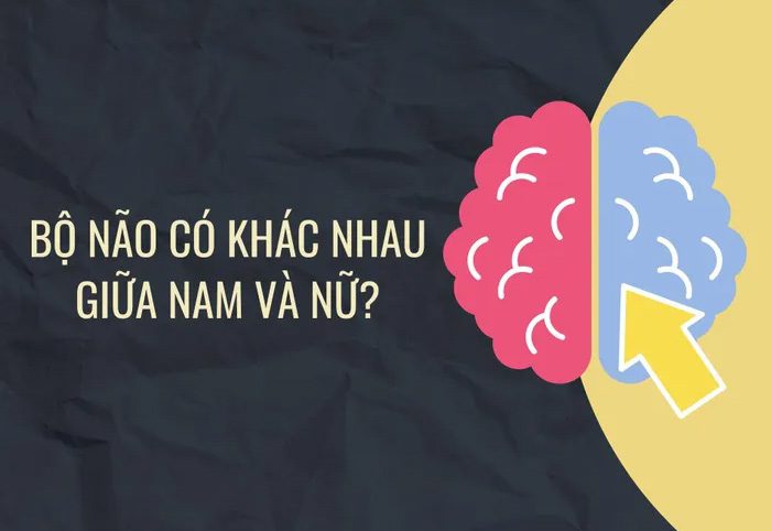 thac mac thuong gap ve bo nao 3