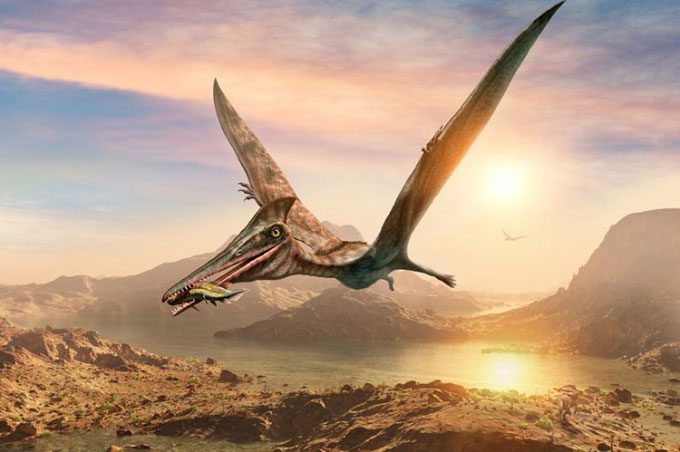 Simulation of a flying reptile hunting.