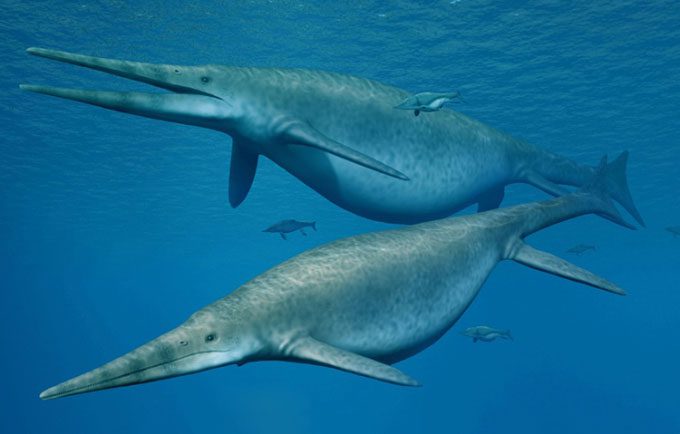 A simulation of an ichthyosaur resembling a dolphin.