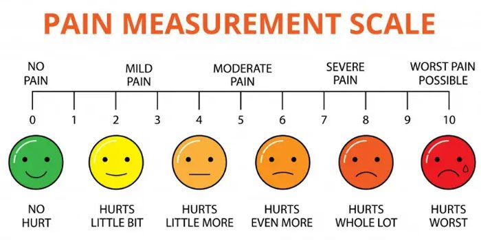 Pain scale commonly used to study pain