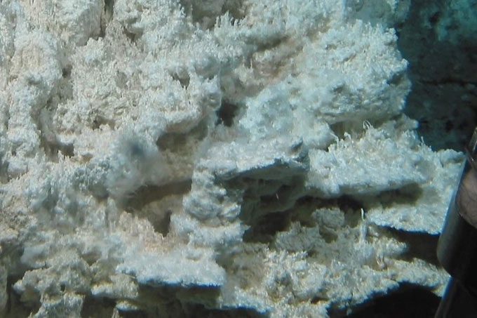 Microbial life on a calcite flow in the lost city.