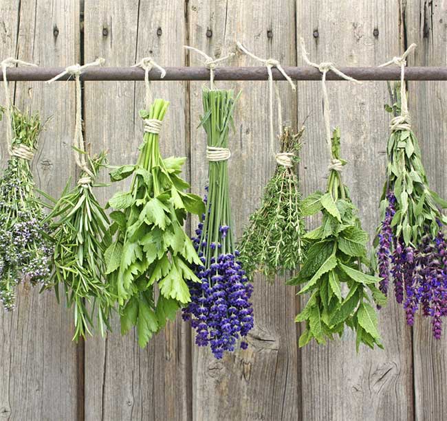 Steam inhalation can be done with natural herbal leaves