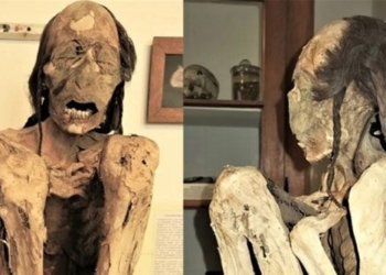 the 1000 year sleep of the victim who was beaten to death 122925