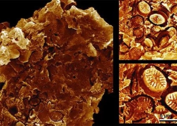 the 183 million year old meteorite reveals about the rebirth of the universe 120619