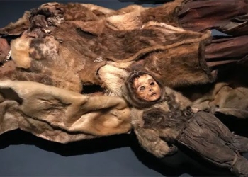 the 500 year old mummy of the 101650 original