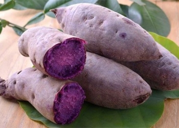 the amazing benefits of purple sweet potatoes that not everyone knows 122208