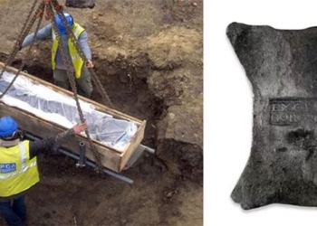 the ancient 500 year old dragon fish from 119013