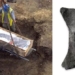 the ancient 500 year old dragon fish from 119013