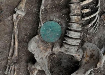 the ancient bowl of bones found in a sand pit in siberia 119394