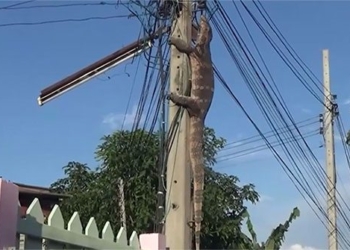 the ball hangs on the electric pole round for du 122562