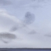 the beautiful canvas of the thousand bird shops flying in the misty sky 123252