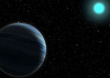 the beautiful planet let us admire the meat eating planet 122381