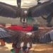 the bird with long wings falling on the cat table rarely seen in vietnam what bird is it 118484