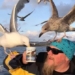 the changing behavior of seagulls is becoming ugly due to excessive actions originating from humans 122784