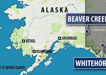 the coldest pig town in canada goes to my dream for 2 days in the chilly winter night no house has address 124204