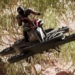 the company starts selling flying motorcycles 118591