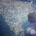 the computer could become the brightest star in the sky 122959