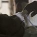 the deadliest infectious diseases in the world return 123759