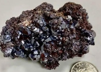the discovery of a magic stone could be a time machine to the future 120056