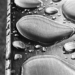 the discovery of metal could solve a mystery from 3 centuries ago 118330