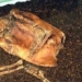 the embalmed man 2 000 years old completely intact appears in the forest 119165